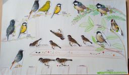 1764583214663 1764583214663