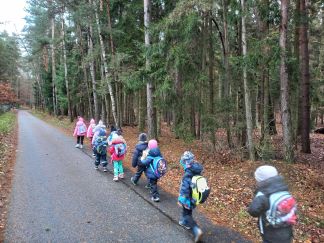 20241120_085350 20241120_085350