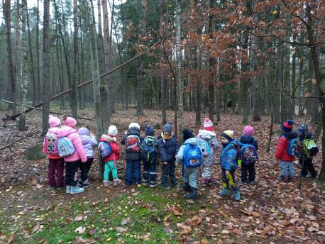 20241120_085943 20241120_085943