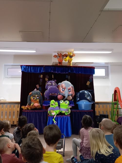 20250212_094219 20250212_094219