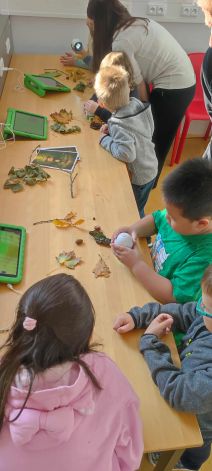 f019de7f-7ed4-4e49-8bbb-7abbb7b3bf24