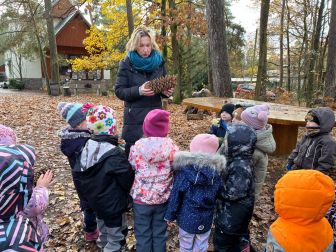 IMG-20241120-WA0007 IMG-20241120-WA0007