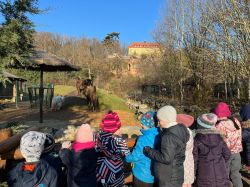 IMG-20241205-WA0004 IMG-20241205-WA0004