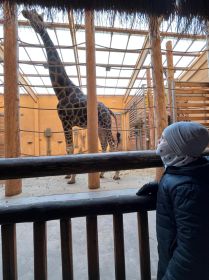 IMG-20241205-WA0007 IMG-20241205-WA0007