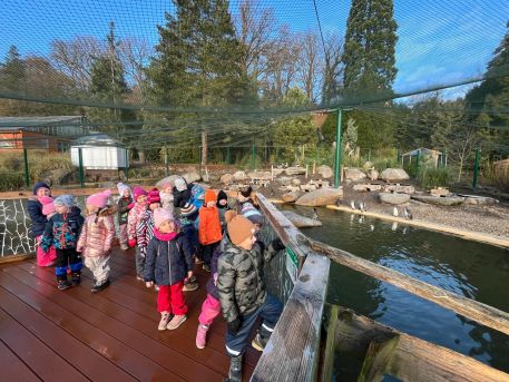 IMG-20241205-WA0009 IMG-20241205-WA0009