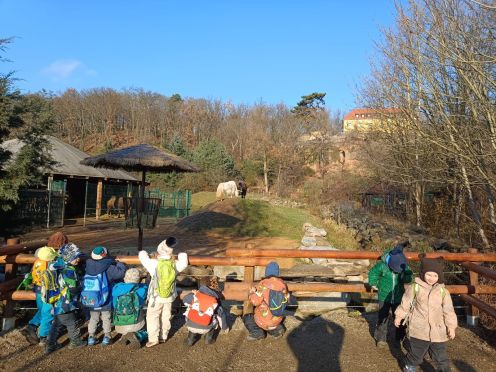 IMG-20241205-WA0012 IMG-20241205-WA0012