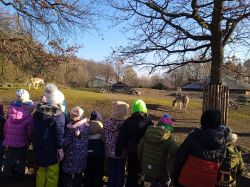 IMG-20241206-WA0003 IMG-20241206-WA0003