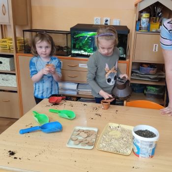 IMG-20250425-WA0000 IMG-20250425-WA0000