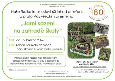 maceškový záhon maceškový záhon